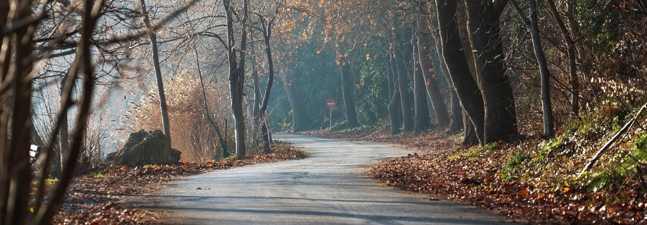 Testfoto